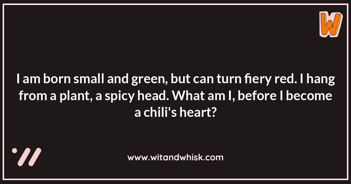 Chili Growing Guesses: From Seed to Table Chili Growing Guesses: From Seed to Table