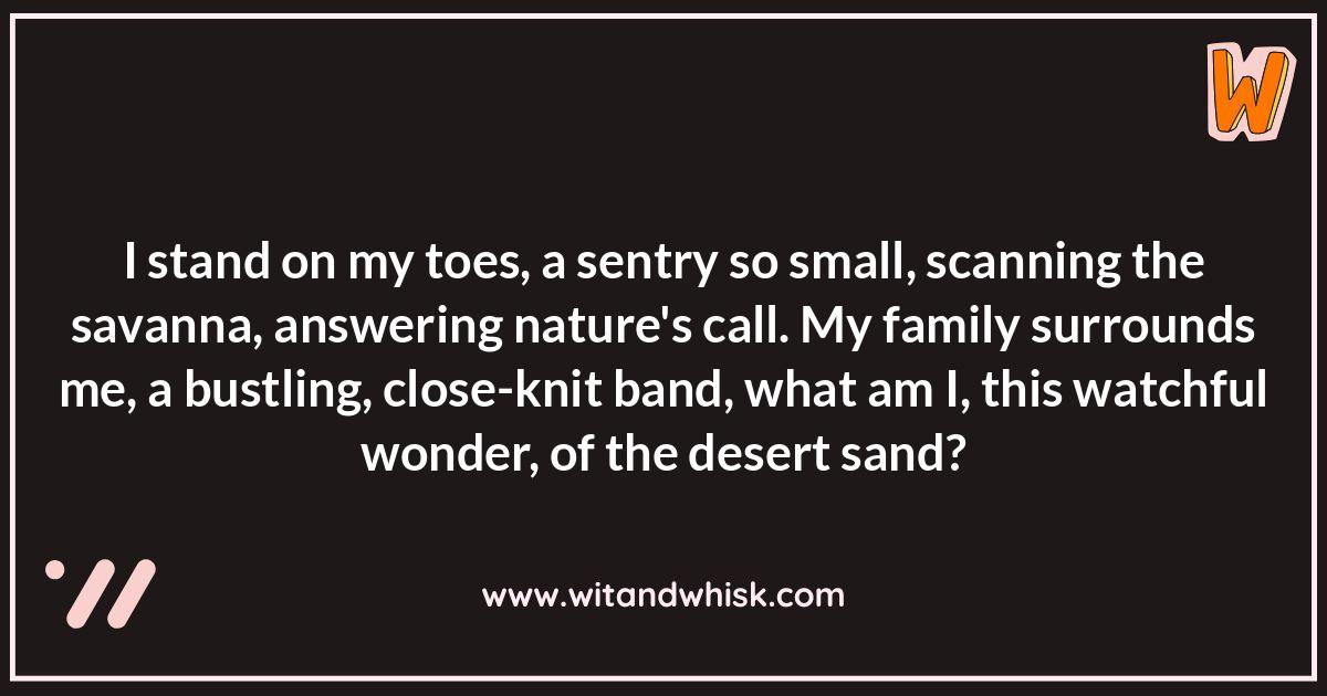Meerkat Riddles: Testing Your Knowledge of the Desert Sentinels Meerkat Riddles: Testing Your Knowledge of the Desert Sentinels