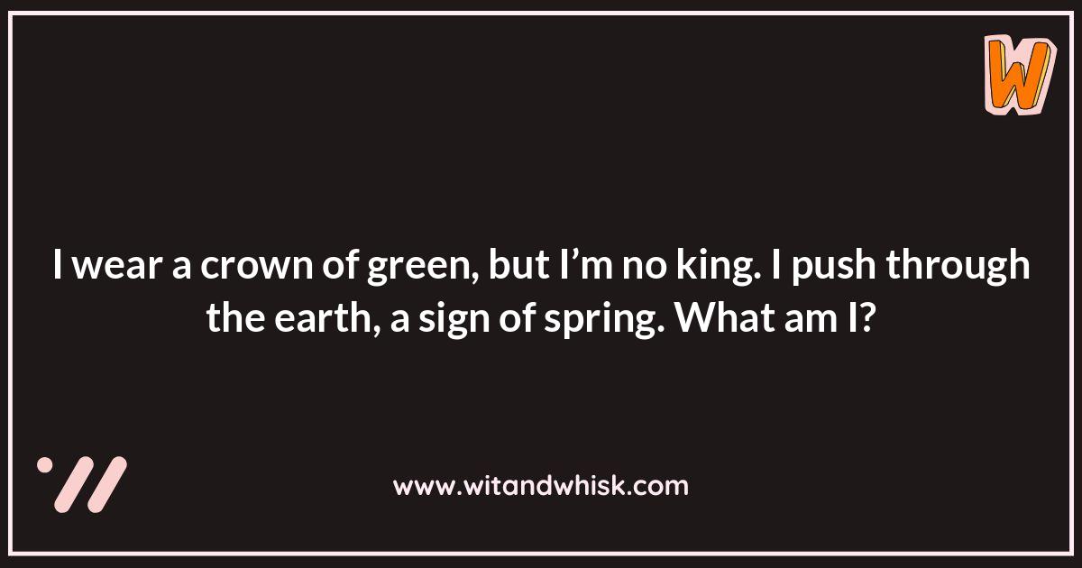 Spring Riddles for Kids: A Fun Learning Experience Spring Riddles for Kids: A Fun Learning Experience