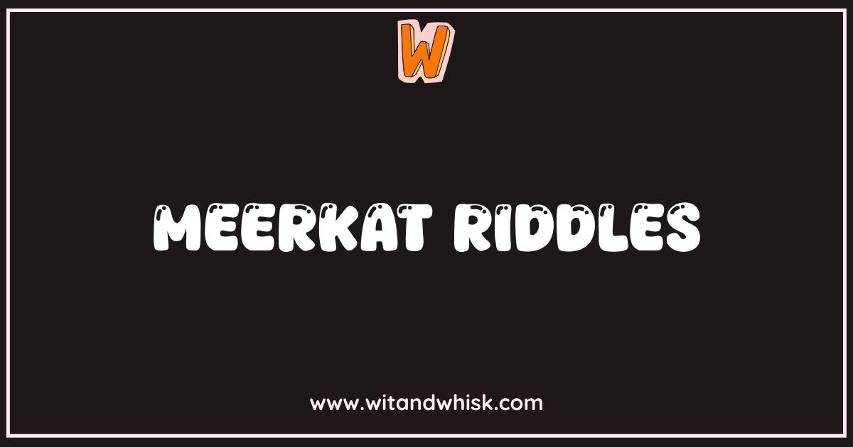 Best Meerkat Riddles Can You Solve These Furry Puzzles Best Meerkat Riddles Can You Solve These Furry Puzzles